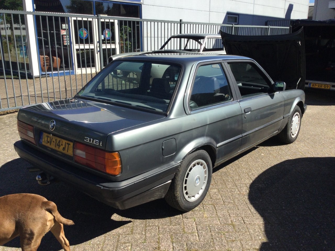 BMW-E30-M-Tech-II-nr-04-108