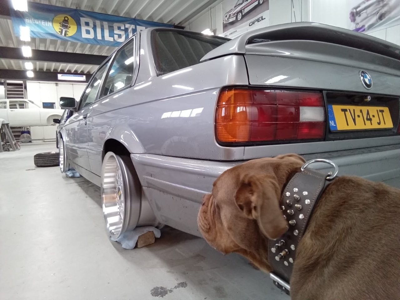 BMW-E30-M-Tech-II-nr-04-176