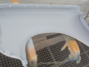 Opel-Kadett-C-Aero-nr-05-149b