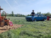 Opel-Kadett-C-Coupe-patina-146