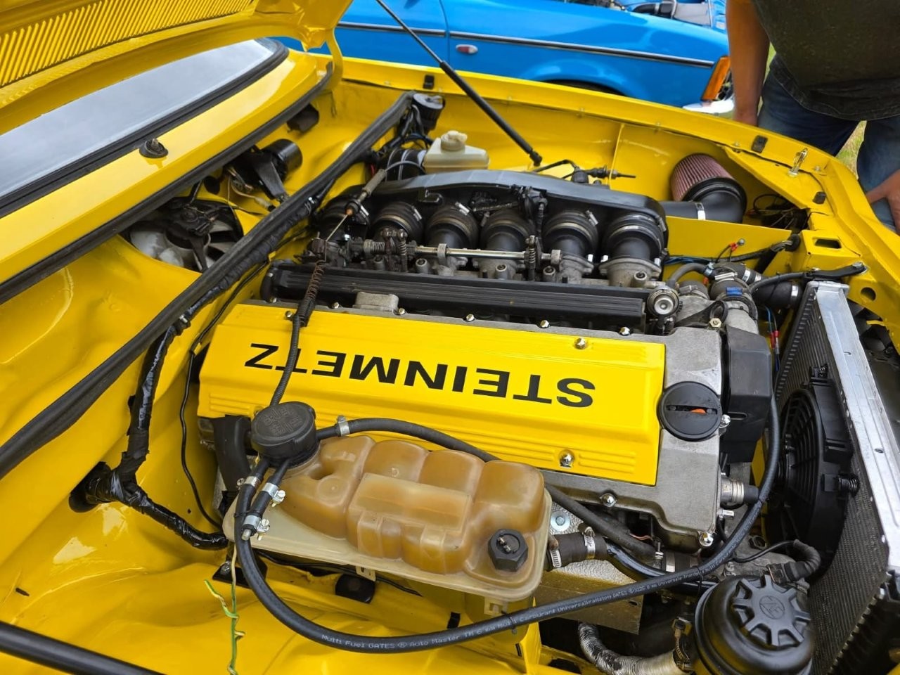 steinmetz-272