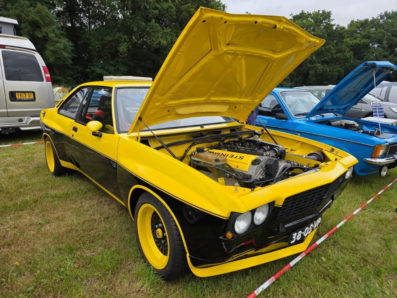 steinmetz-273